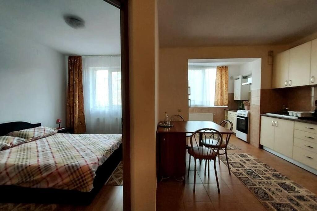 Spacious Flat, With Free Parking & Air Conditioning Floreşti Exterior foto
